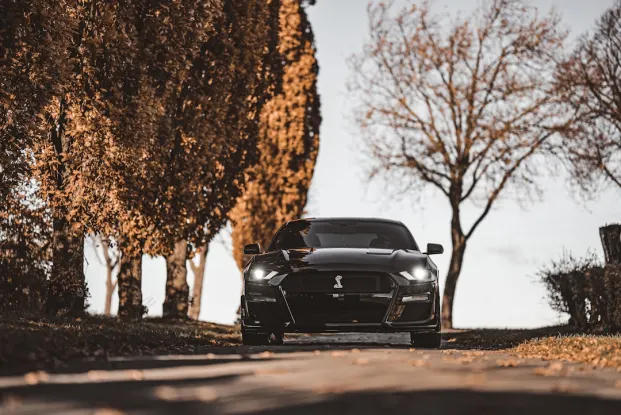 HippoZino Kazino Android/iOS programa